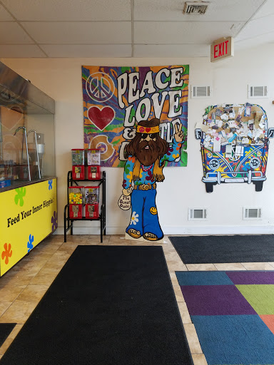 Donut Shop «Peace, Love and Little Donuts of Bethel Park», reviews and photos, 100 Broughton Rd, Bethel Park, PA 15102, USA