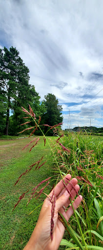 Nature Preserve «Paradise Creek», reviews and photos, Giant Cement Dr, Portsmouth, VA 23702, USA