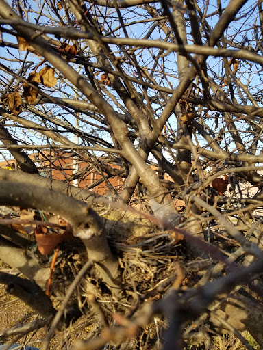 Grocery Store «Food Lion», reviews and photos, 191 St Patricks Dr, Waldorf, MD 20603, USA