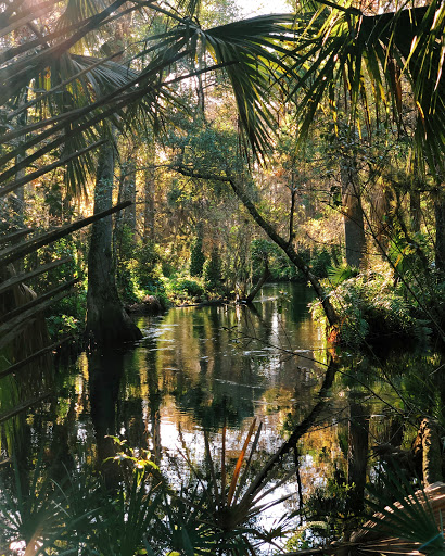 Nature Preserve «Cypress Creek Natural Area», reviews and photos, 10035 W Indiantown Rd, Jupiter, FL 33478, USA