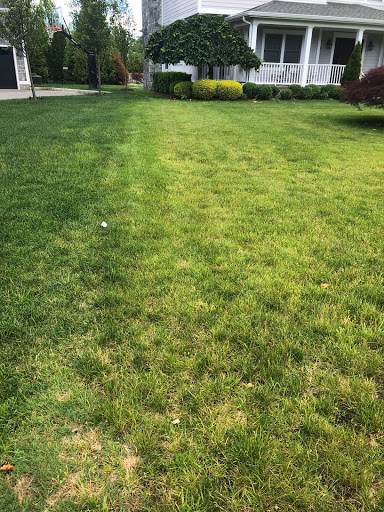 Lawn care service Stamford