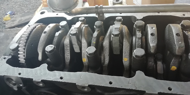 Comentarii opinii despre Taller