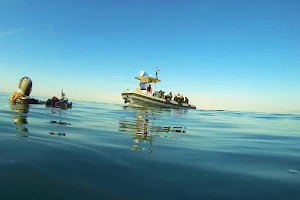 Diving Passion Carry-le-Rouet image