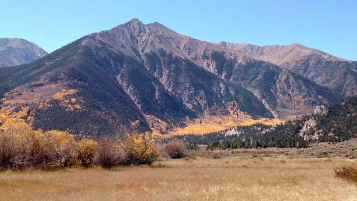 Grocery Store «Twin Lakes General Store», reviews and photos, 6451 CO-82, Twin Lakes, CO 81251, USA