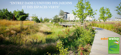 Edelweiss Paysages à Montreuil-Juigné