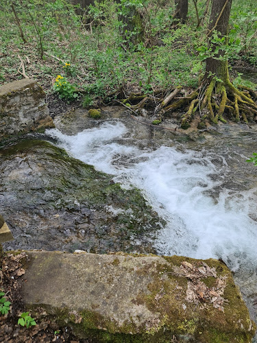 Comentarii opinii despre Erika Vendégház