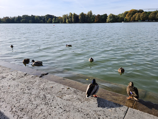 Hannover Maschsee