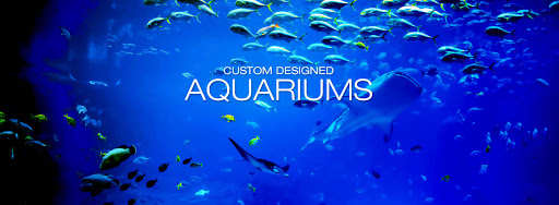 Aquarium «Aquarium Design International», reviews and photos, 9150 Belvedere Rd #110, Royal Palm Beach, FL 33411, USA