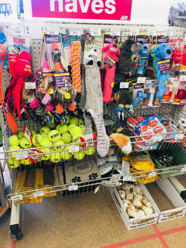 Hardware Store «Great Lakes Ace Hardware», reviews and photos, 41800 W 10 Mile Rd, Novi, MI 48375, USA