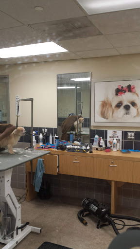 Pet Supply Store «Petco Animal Supplies», reviews and photos, 9111 Metropolitan Ave, Rego Park, NY 11374, USA