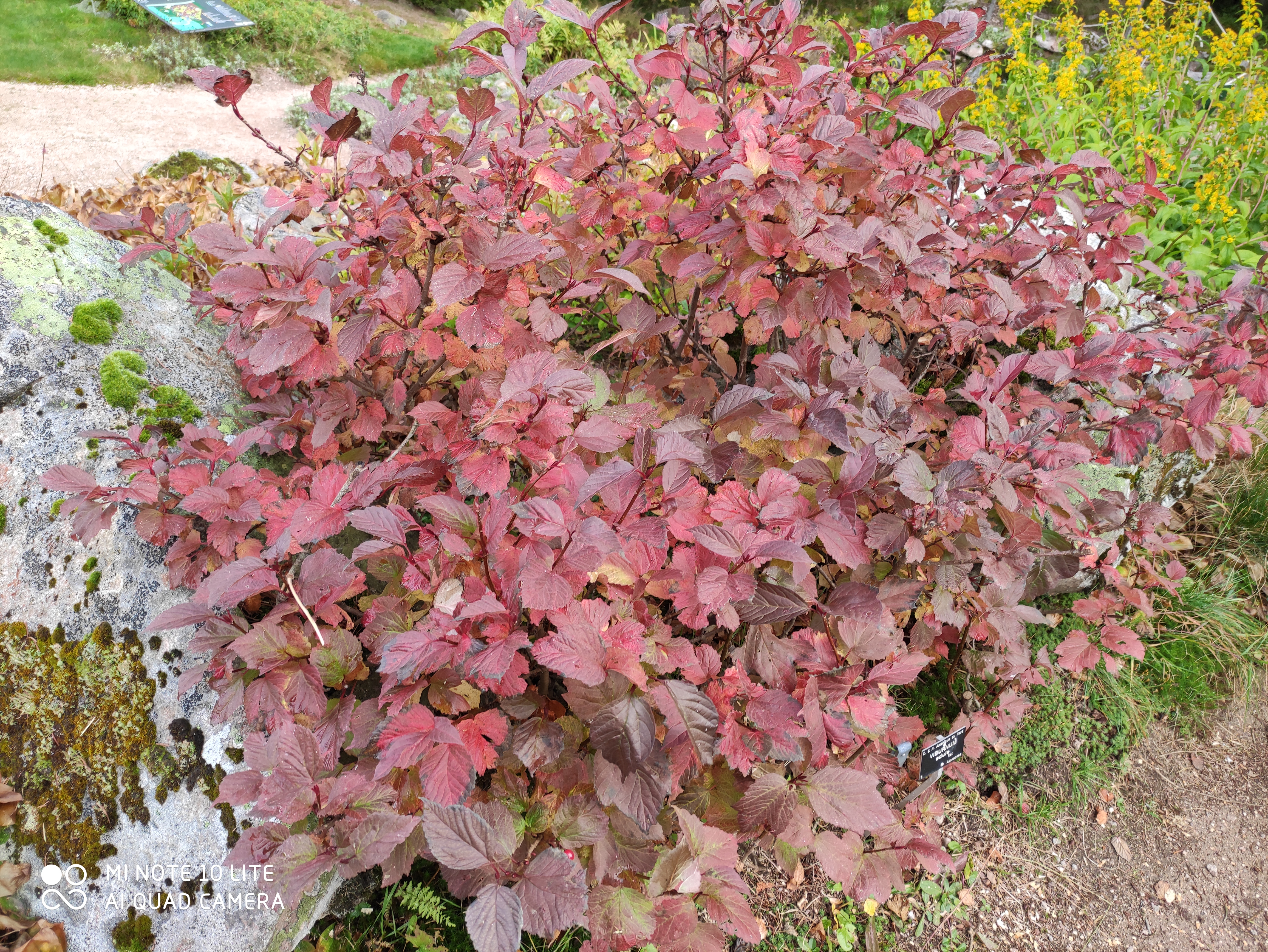 Photo n° 3 de l'avis de Isabelle.o fait le 27/09/2021 à 09:18