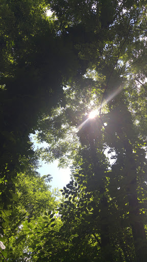 Golf Course «Seneca Golf Course», reviews and photos, 2300 Pee Wee Reese Rd, Louisville, KY 40205, USA