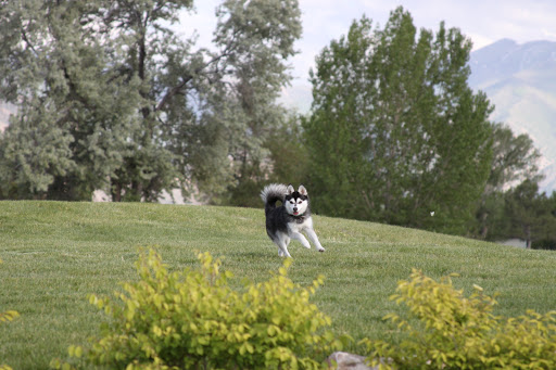 Golf Course «Stansbury Park Golf Course», reviews and photos, 1 Country Club, Stansbury Park, UT 84074, USA