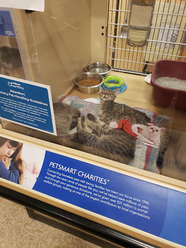 Pet Supply Store «PetSmart», reviews and photos, 1196 W Olive Ave, Merced, CA 95348, USA