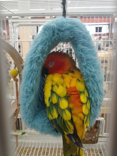 Pet Supply Store «Pet Supermarket, Inc.», reviews and photos, 380 E Michigan St, Orlando, FL 32806, USA