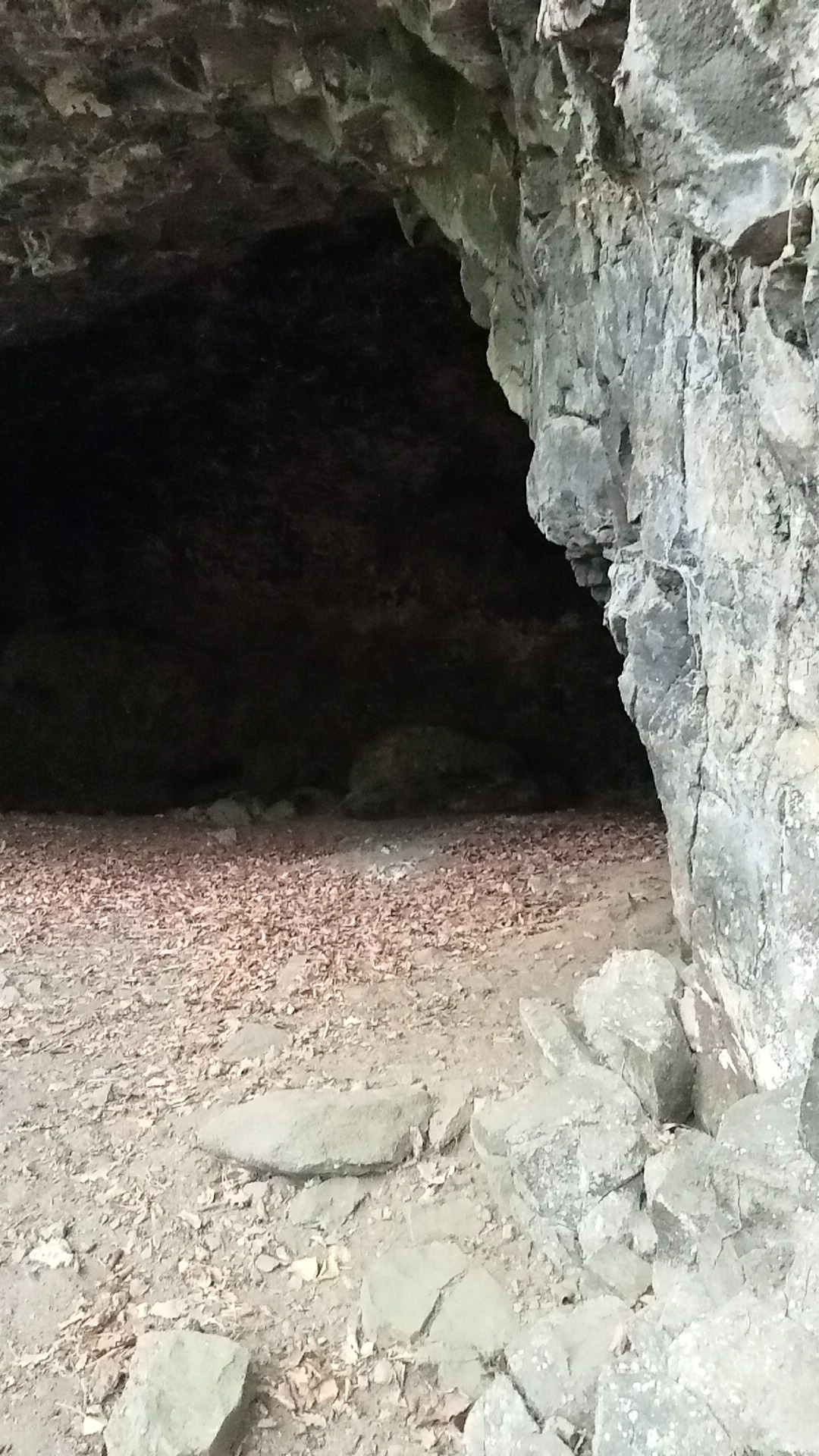 Photo n° 1 de l'avis de celine. fait le 18/08/2022 à 14:57