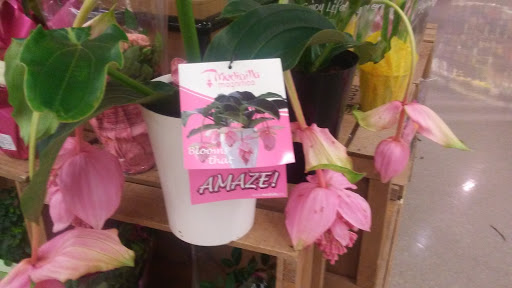 Grocery Store «Food Lion», reviews and photos, 2930 W Main St, Durham, NC 27705, USA