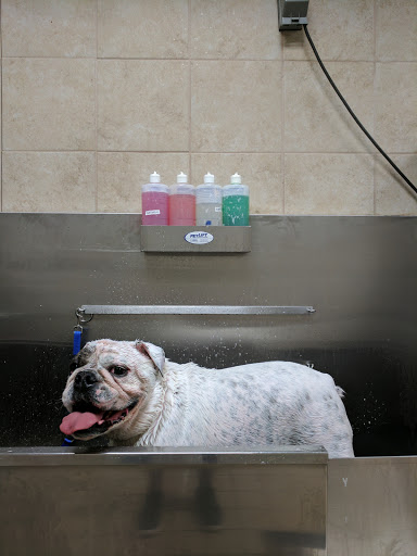 Pet Supply Store «Pet Supplies Plus», reviews and photos, 1704 Greenville Ave, Dallas, TX 75206, USA