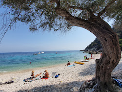 Orkos Beach'in fotoğrafı ve yerleşim