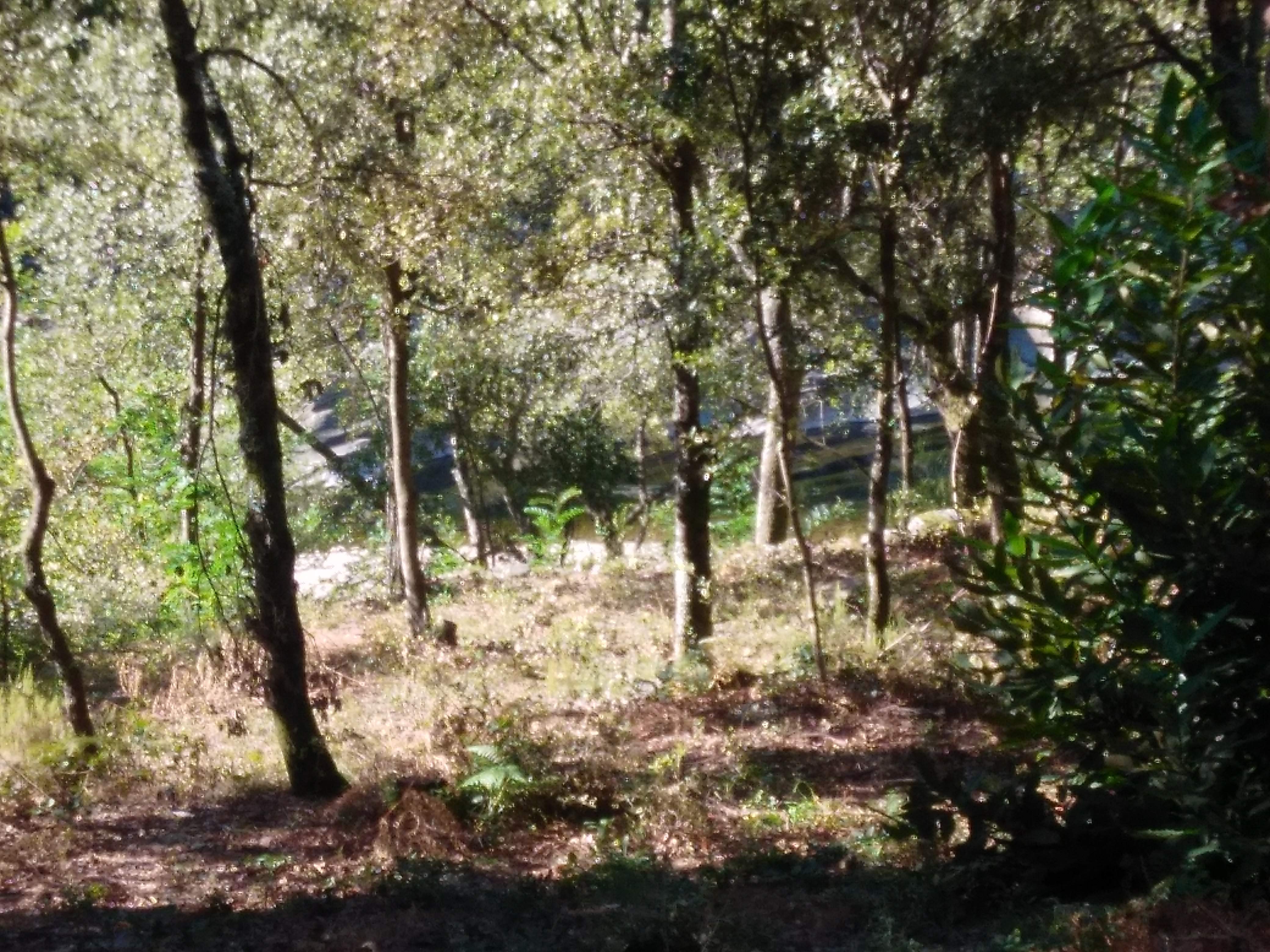 Photo n° 6 de l'avis de Véronique.a fait le 01/04/2019 à 15:52