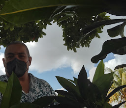 Plaza Chilam Balam photo