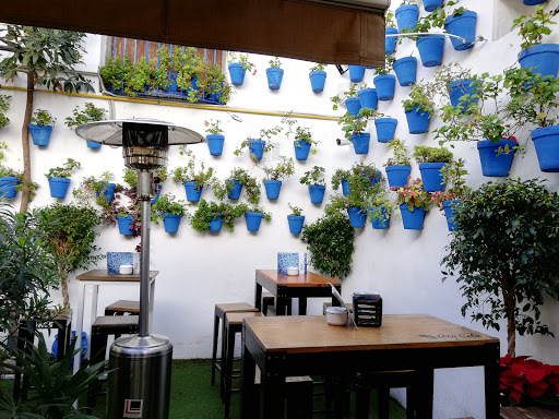 Información y opiniones sobre Taberna Ágora Mezquita de Córdoba