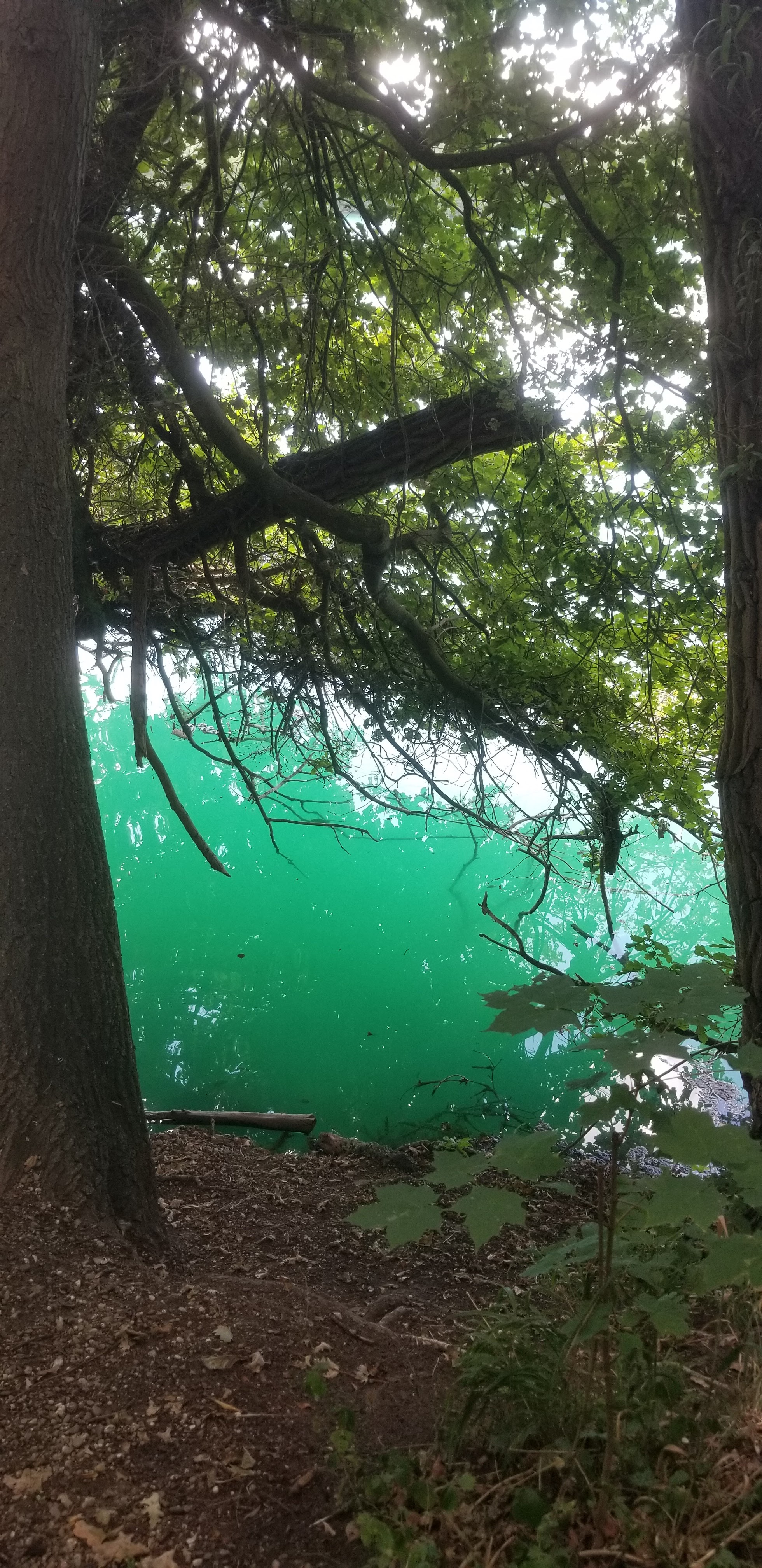 Photo n° 2 de l'avis de Céline.O fait le 27/07/2022 à 19:47