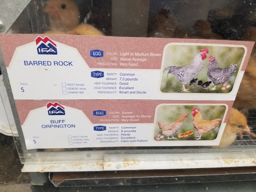 Animal Feed Store «IFA Country Stores», reviews and photos, 1071 Pioneer Rd, Draper, UT 84020, USA