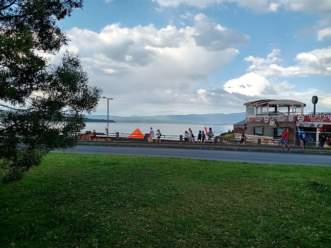 Comentarii opinii despre Costanera villarrica