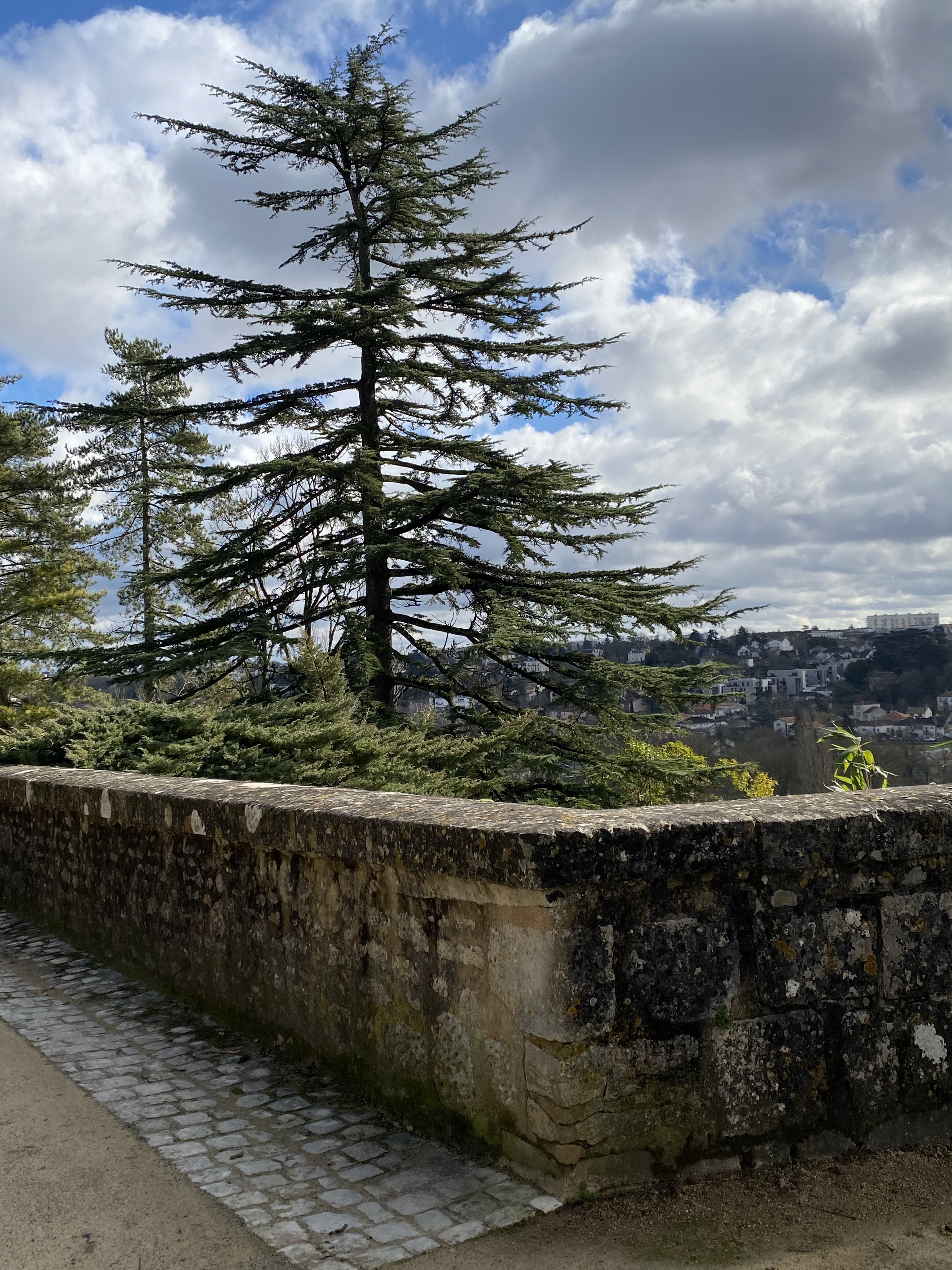 Photo n° 29 de l'avis de Marylène.u fait le 22/03/2022 à 17:15
