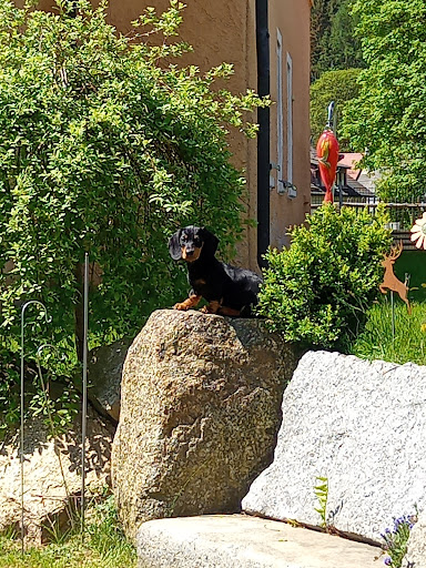 Steffen Rosner Tierarzt unter Erbendorf, 