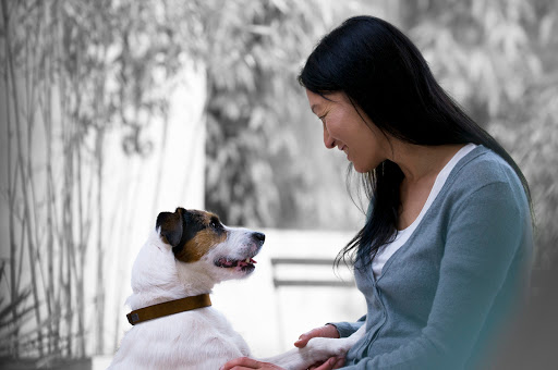 VCA Canada Blair Animal Hospital image