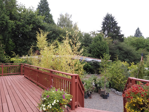 Florist «Milwaukie Floral and Garden», reviews and photos, 3306 SE Lake Rd, Milwaukie, OR 97222, USA