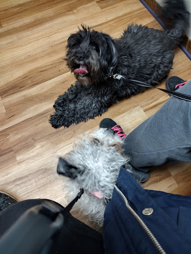 Crookston Pet Clinic