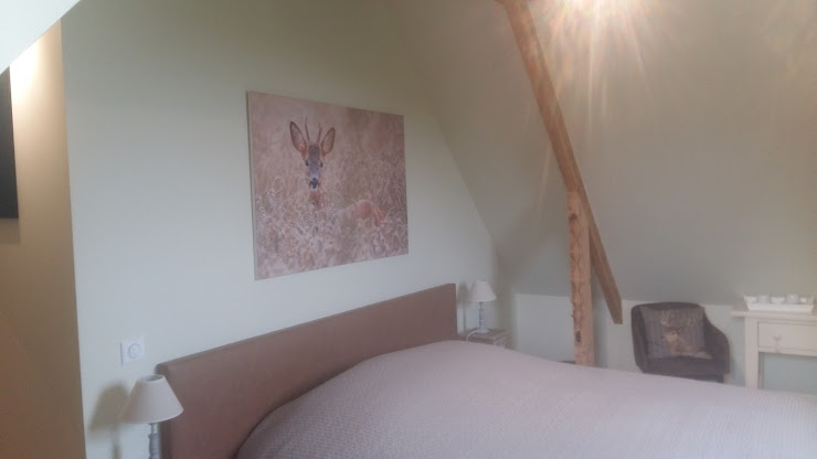 Chambres Chambre d'hôtes La Garonde Maison d'Hôtes, B&B 59270 Berthen