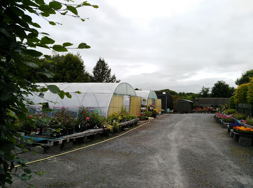Cru Valley Nurseries/Garden Centre