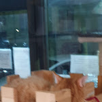 Photo n°9 de l'avis de Paolo.a fait le 06/03/2023 à 14:45 sur le  Nero Miciok à Palermo