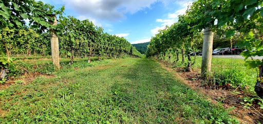 Vineyard «Breaux Vineyards», reviews and photos, 36888 Breaux Vineyards Ln, Purcellville, VA 20132, USA