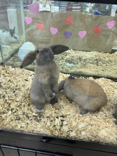 Pet Supply Store «Pet Palace Inc», reviews and photos, 253 Scranton Carbondale Hwy, Scranton, PA 18508, USA