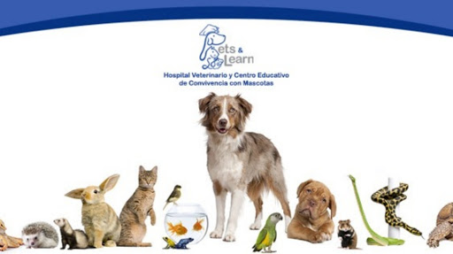Pets & Learn Hospital Veterinario y Centro Educativo de Convivencia con Mascotas