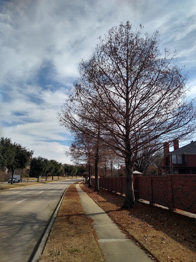 Golf Course «Hackberry Creek Country Club», reviews and photos, 1901 W Royal Ln, Irving, TX 75063, USA