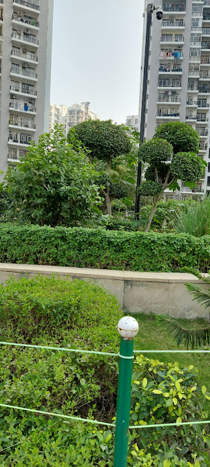 Google Maps image 13