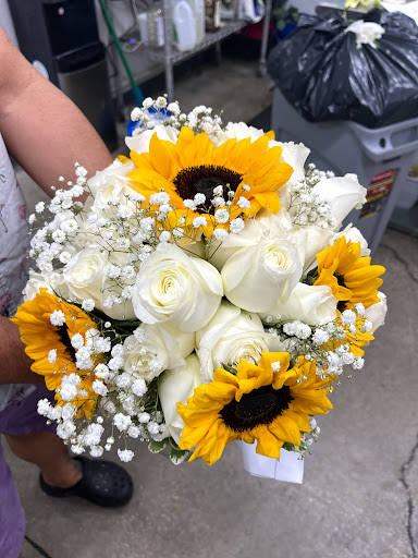 Florist «Artistic Florist Of Tampa», reviews and photos, 2509 W Busch Blvd, Tampa, FL 33618, USA