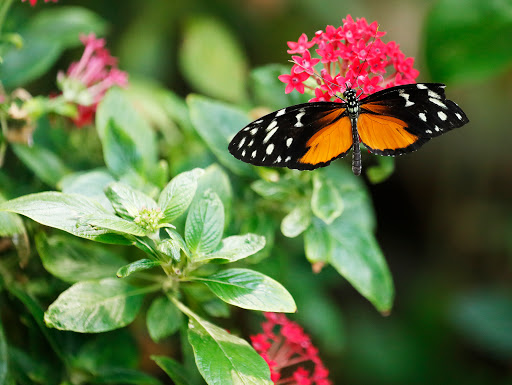 Science Museum «Museum of Science», reviews and photos, 1 Science Park, Boston, MA 02114, USA