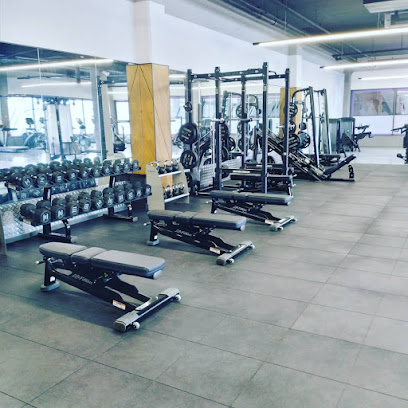 ANYTIME FITNESS DARBOUAZZA
