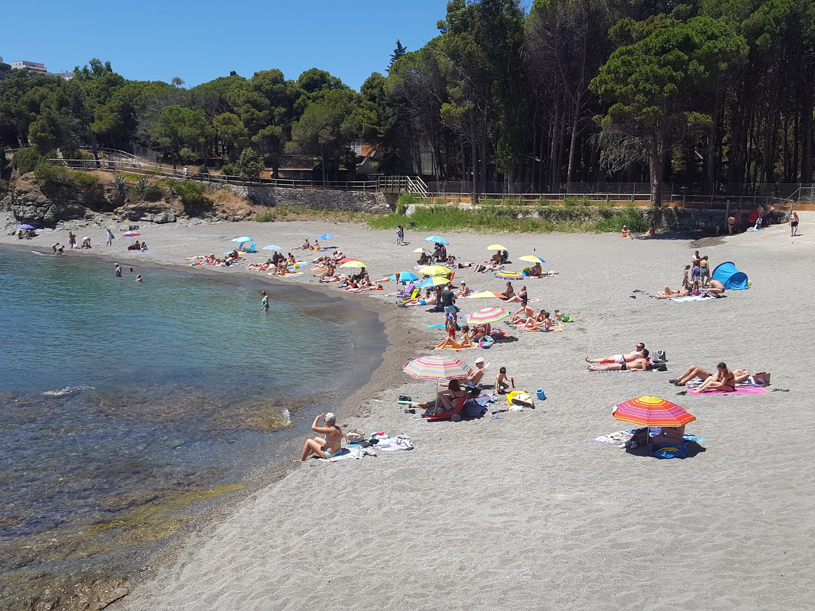 Platja de les Tonyines'in fotoğrafı vahşi alan
