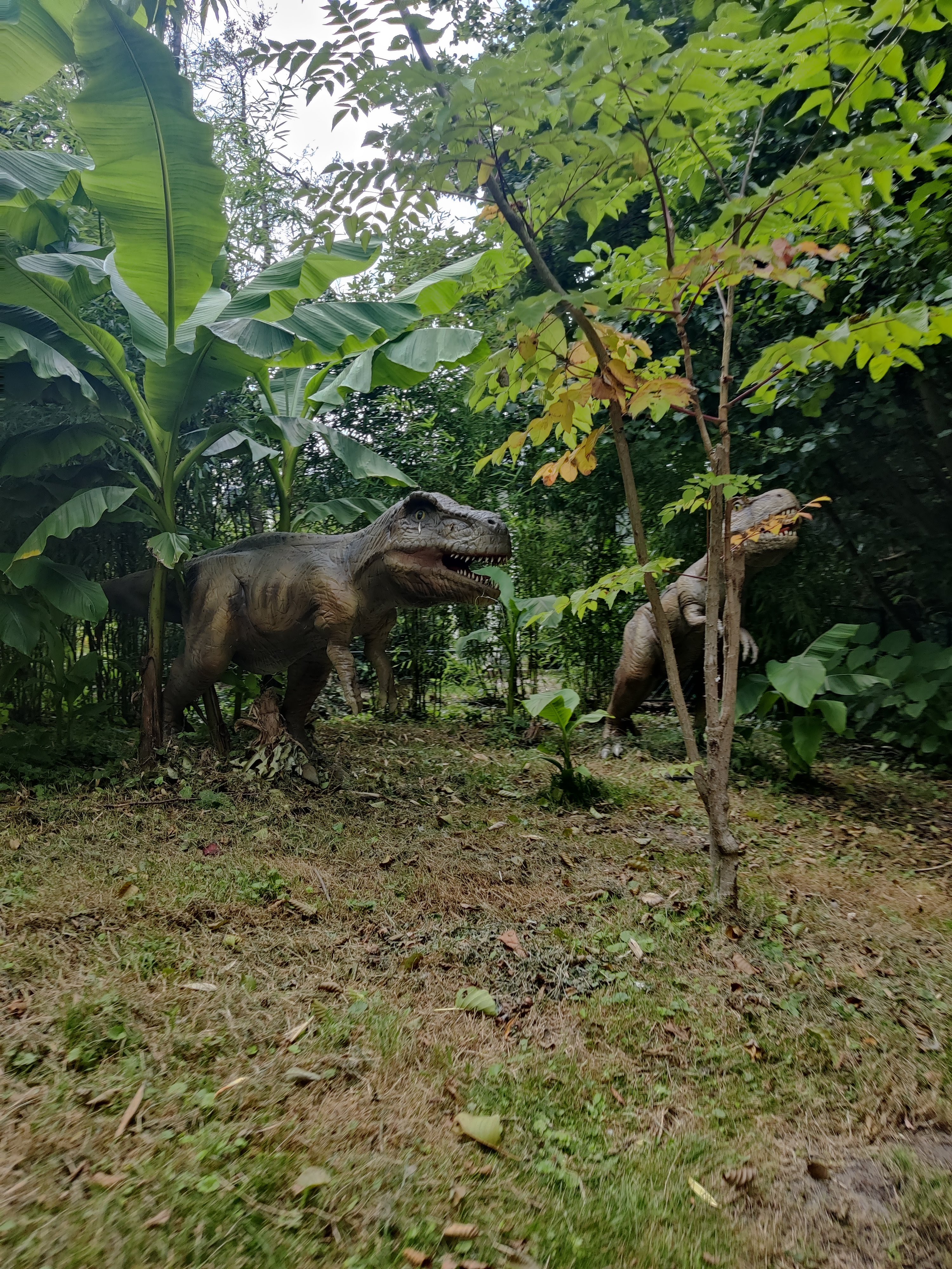 Photo n° 4 de l'avis de Dior.a fait le 14/08/2019 à 20:24