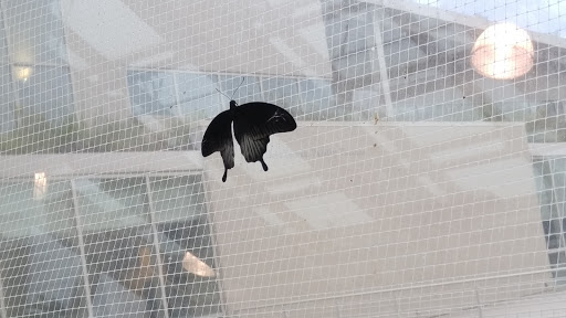 Museum «Peggy Notebaert Nature Museum», reviews and photos, 2430 N Cannon Dr, Chicago, IL 60614, USA