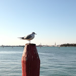 Photo n°2 de l'avis de Danzonelvento.P fait le 21/03/2019 à 16:30 sur le  Venezia 2000 à Lido