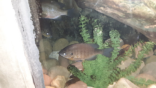 Science Museum «ECHO, Leahy Center for Lake Champlain», reviews and photos, 1 College St, Burlington, VT 05401, USA